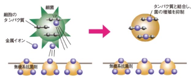 抗菌仕様（本体樹脂部）